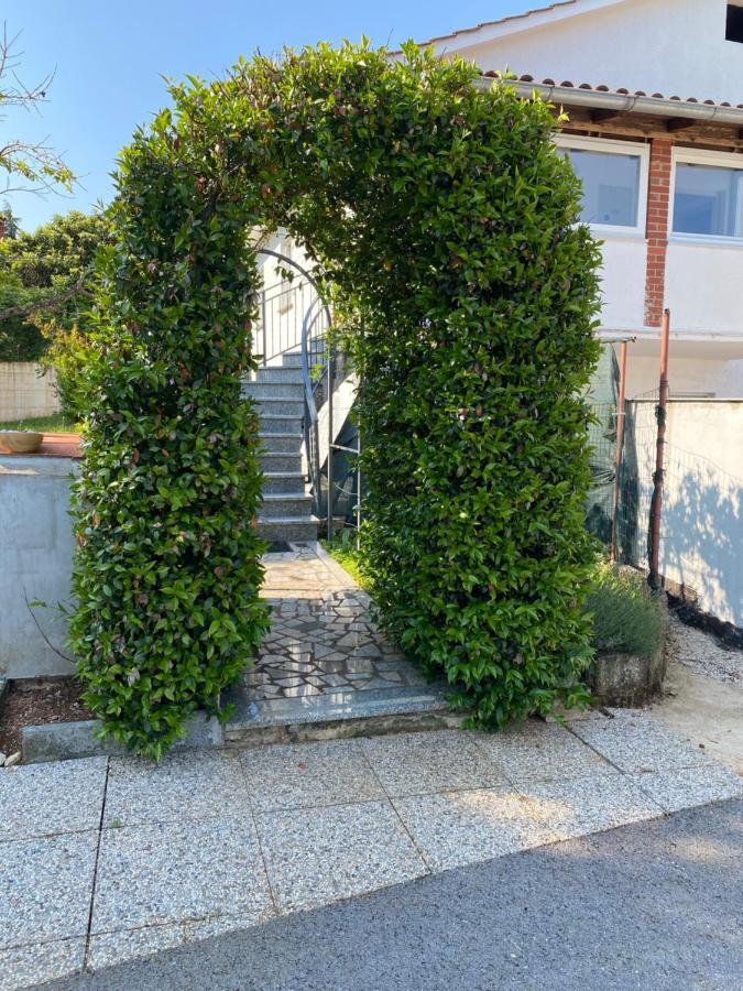 Apartmani Marinac Poreč Eksteriør billede